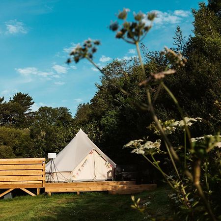 Willow Valley Glamping Bude Buitenkant foto