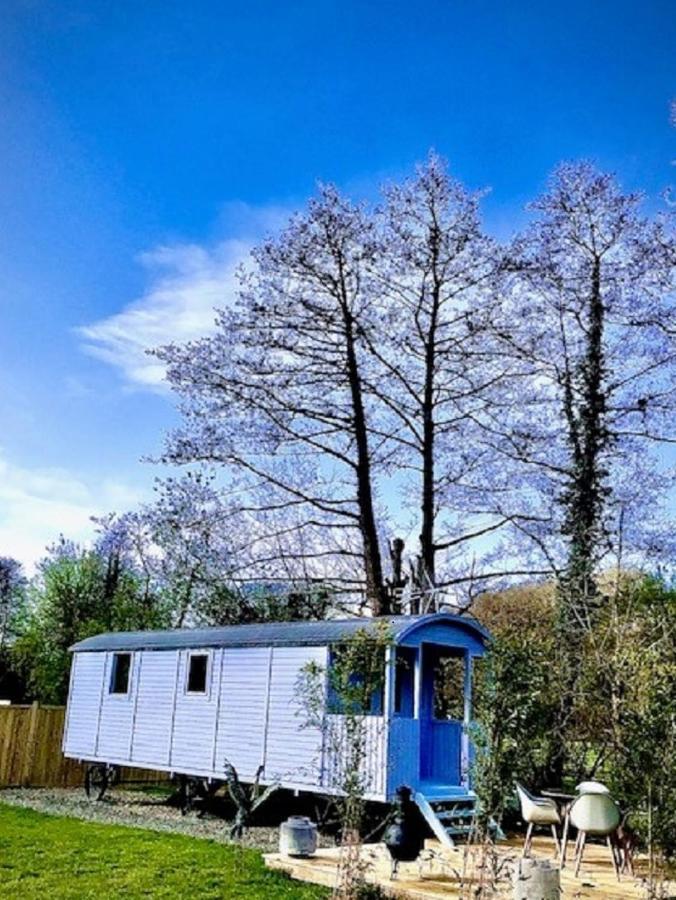 Willow Valley Glamping Bude Buitenkant foto