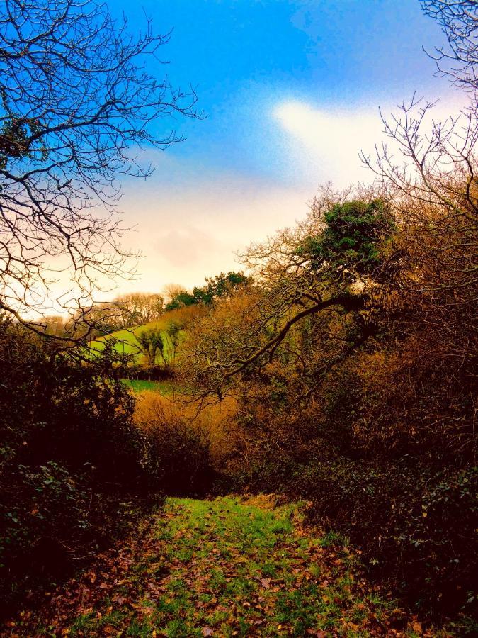 Willow Valley Glamping Bude Buitenkant foto