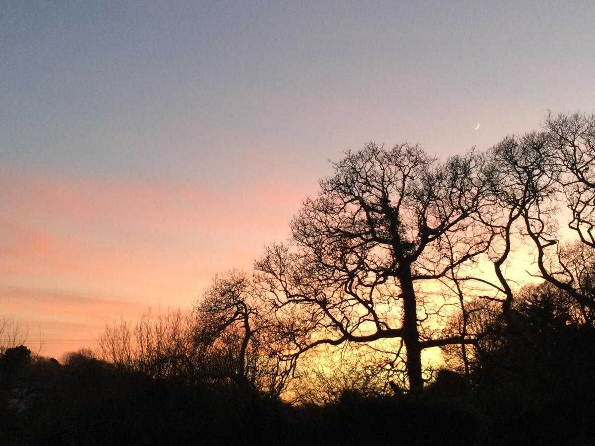 Willow Valley Glamping Bude Buitenkant foto